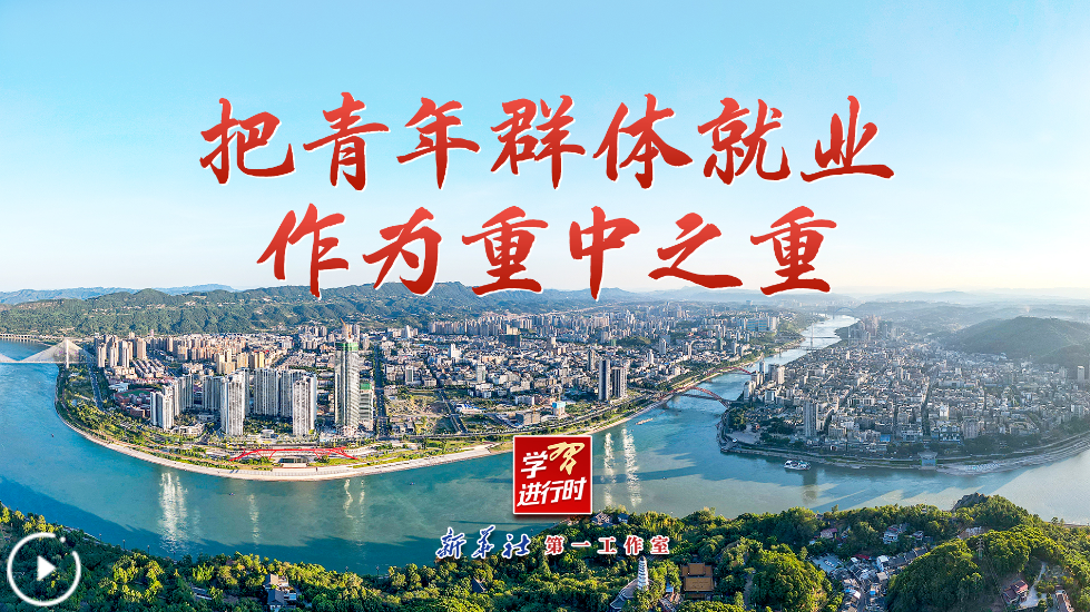 学习进行时｜把青年群体就业作为重中之重