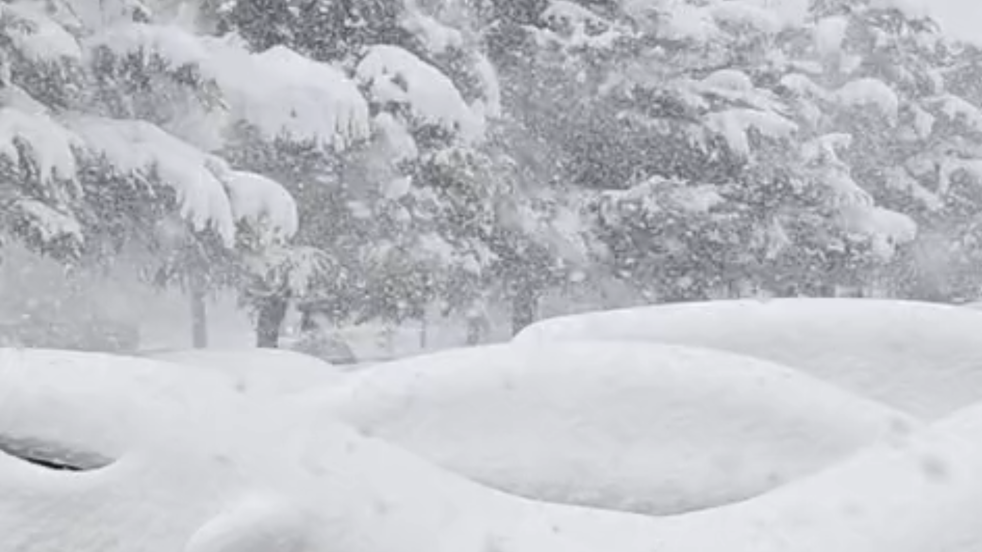 复旦大学博士生威海追暴雪：激动地睡不着 降雪强度远超预期