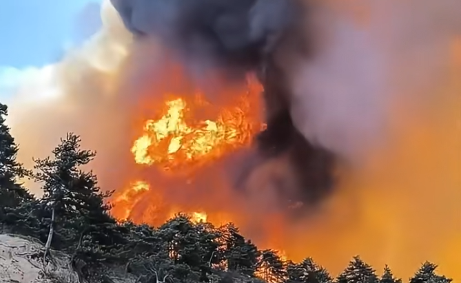 广东汕头突发山火 正全力扑救