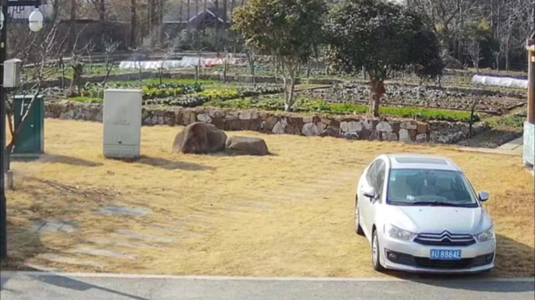 苏州巨响？苏州应急管理部门回应：正在调查