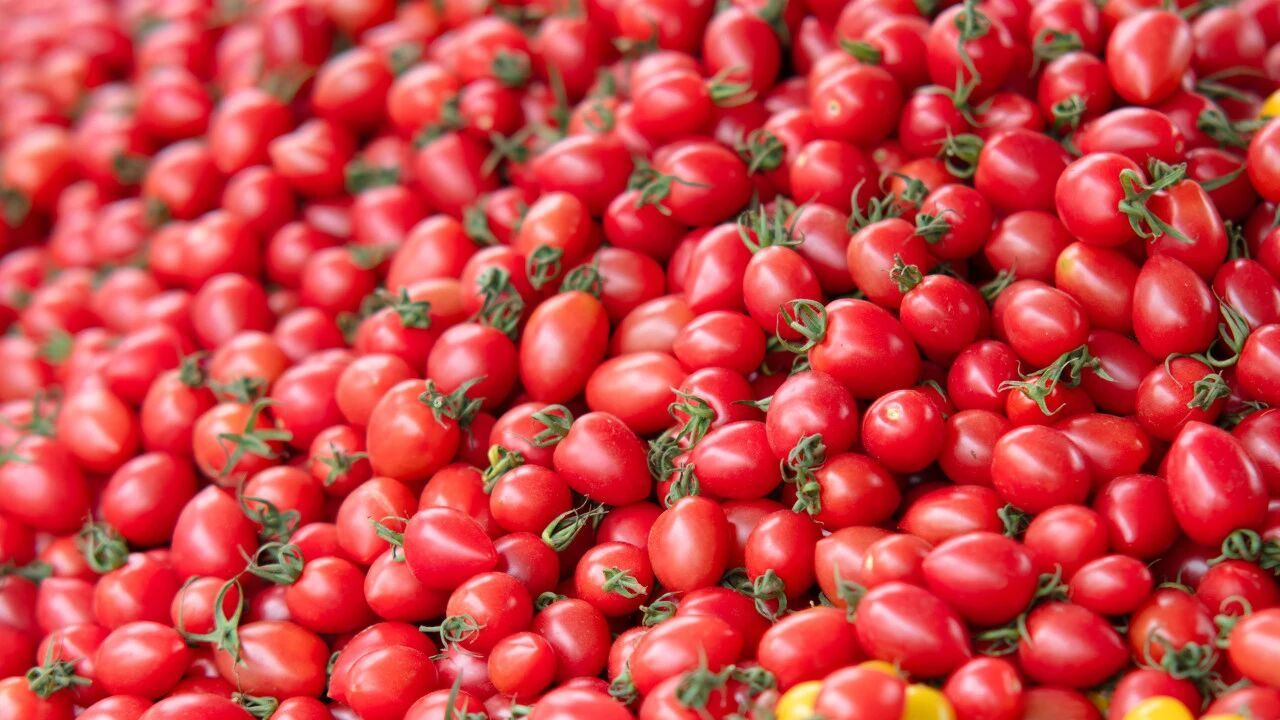 减肥好搭子！这个水果低卡高纤还美味 多吃不怕胖