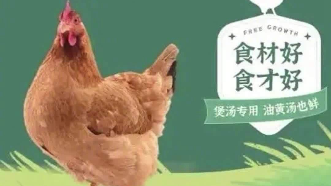 与辉同行83元3只皖西麻黄鸡引质疑：遭麻黄鸡产业协会打假