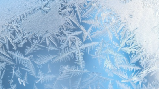 局部-15℃到-13℃！河南发布设施农业雪灾低温风险预警