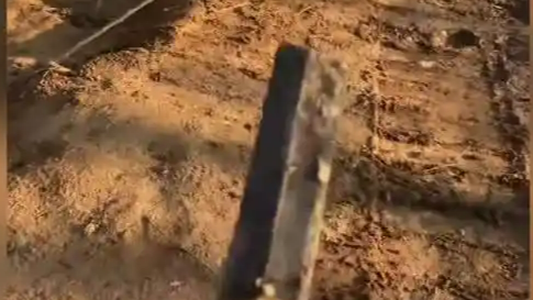 工人施工时挖出青铜古剑，上交博物馆获200元奖励