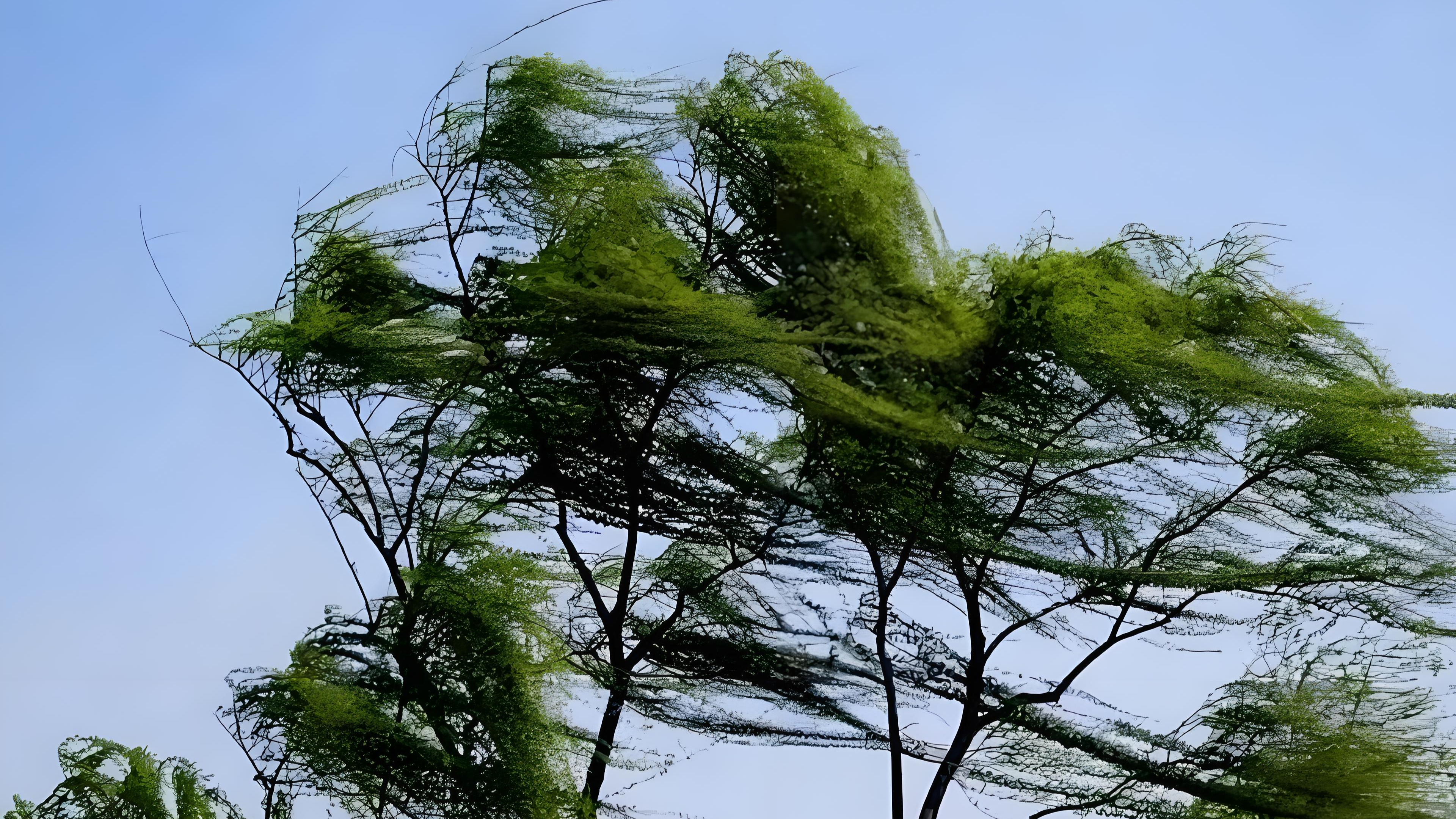 今年1号台风即将形成，对我国有影响吗？专家解读