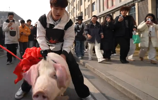 湖北恩施一高校请学生吃刨猪宴，同学们“手忙脚乱”抓二师兄