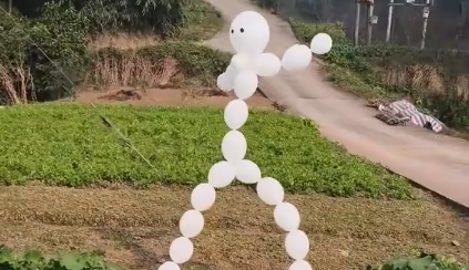 女子自制气球版“稻草人”守护菜园，一代人有一代人的稻草人