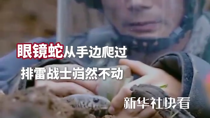 这是军人执行任务时遇到蛇的反应