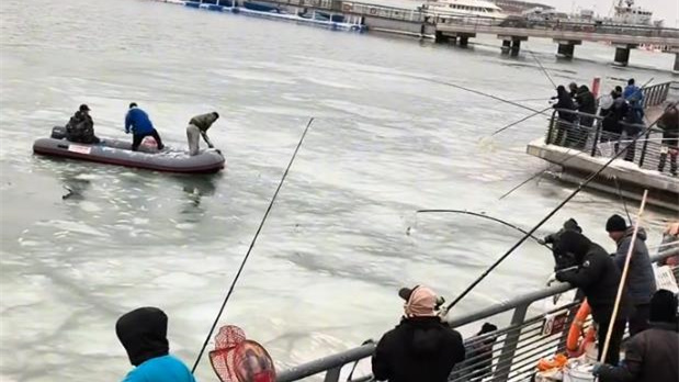 天津一公园海水结冰大量鱼群被冻住