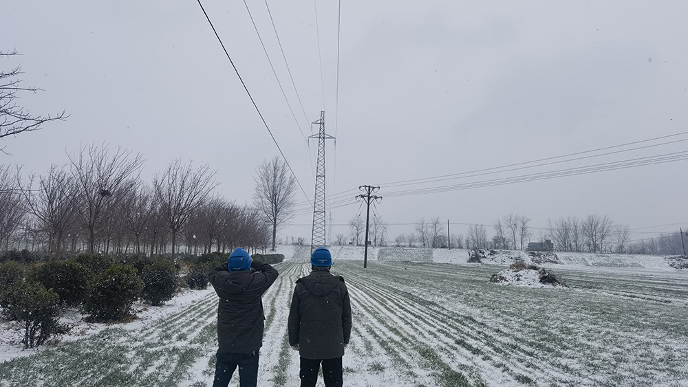 国网新蔡县供电公司:风雪特巡保民生