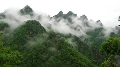 今日起，南阳多家景区临时闭园
