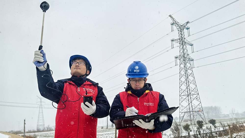 国网驻马店供电公司：全力抗击雨雪冰冻保供电
