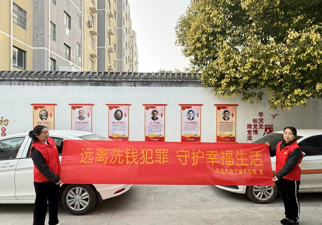筑牢金融安全防线  平安产险方城支公司开展岁末年初防范非法金融活动宣传