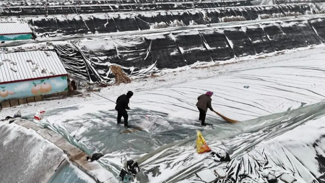 本轮寒潮何时结束？气象专家给出预判