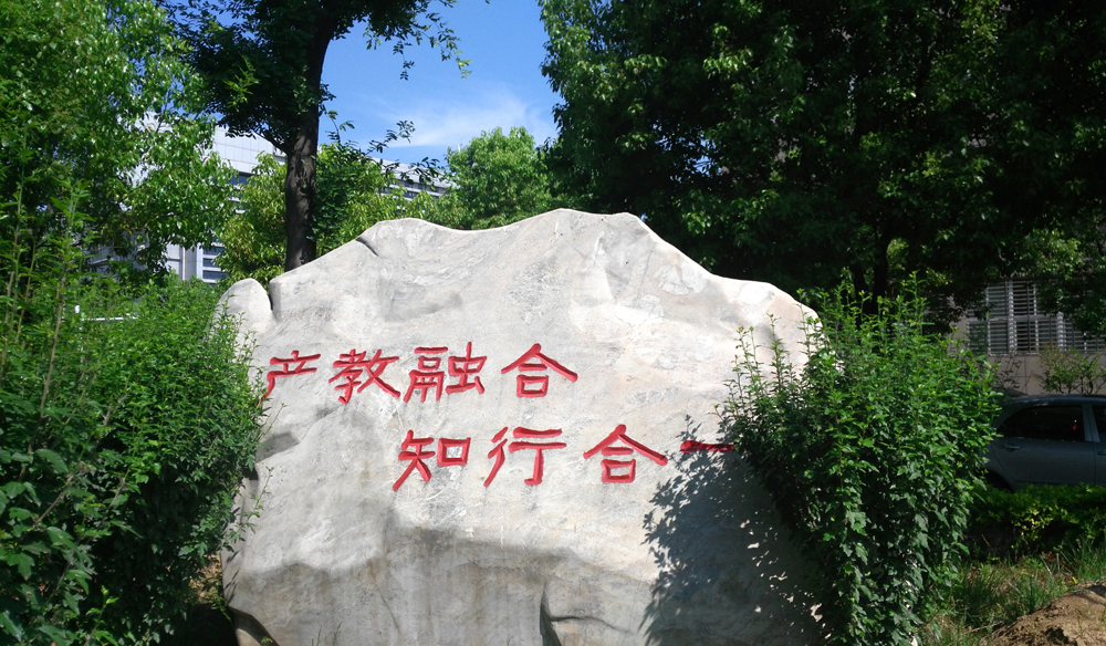 驻马店职业技术学院：五育润心 赋能成才