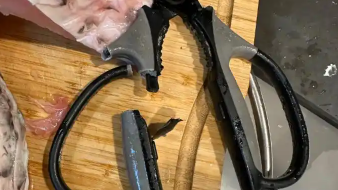 张小泉剪刀剪鲜鱼时手柄断裂，客服回应：将反馈