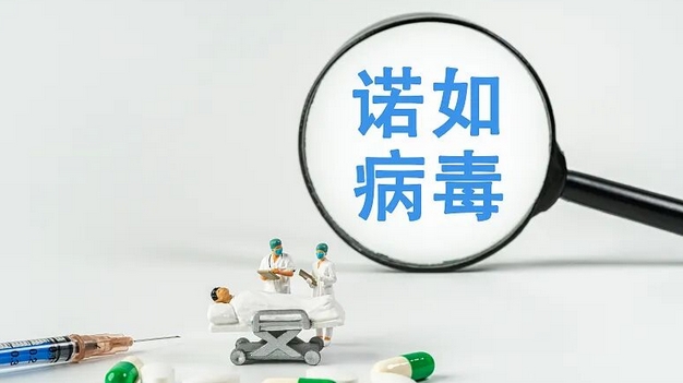 诺如病毒感染进入高发季！预防牢记“四要”“四不要”→