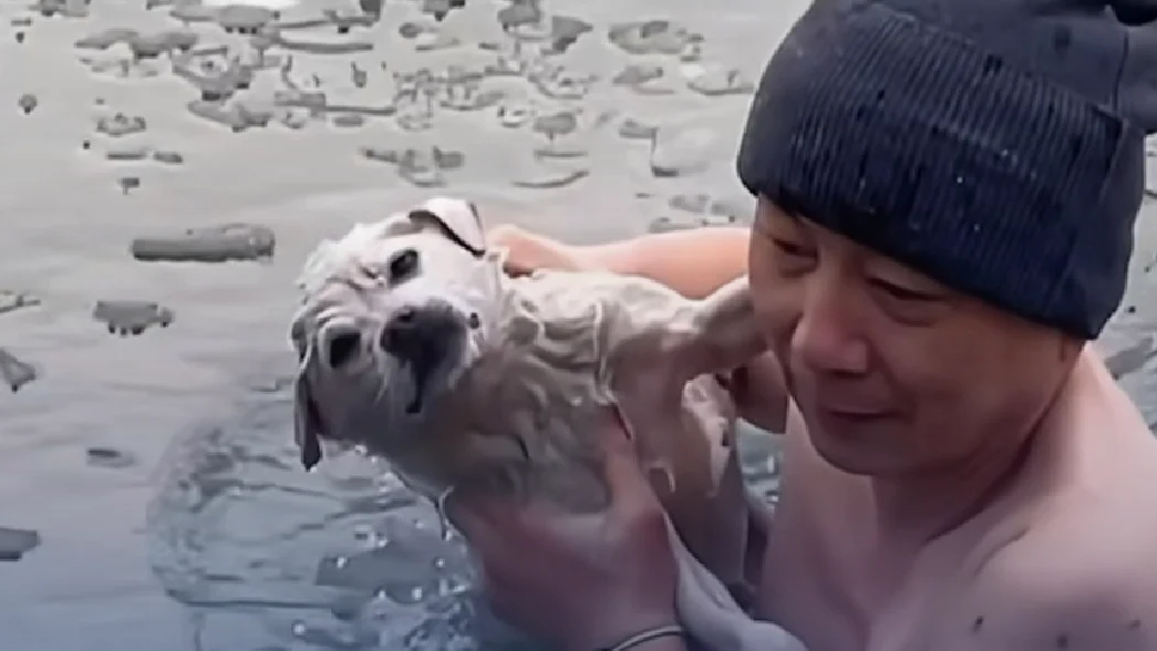 掉进冰窟的小狗遇到了“心软的神”