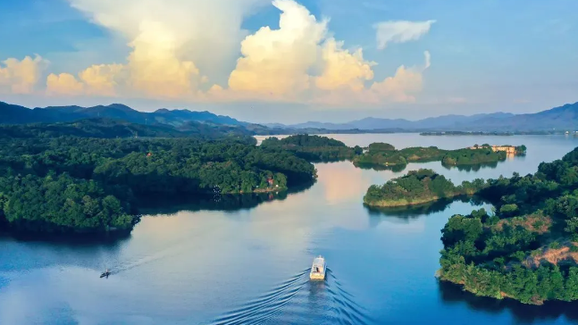 “马”上免费！全国多地景区推出马年限定福利