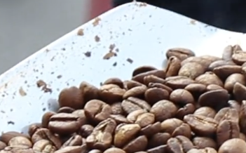 炒货机不炒瓜子炒咖啡豆，南京老城南“咖啡配汤包”魔幻出圈