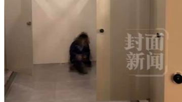 云冈石窟保洁员厕所内坐地休息，景区回应：有保洁专用休息间