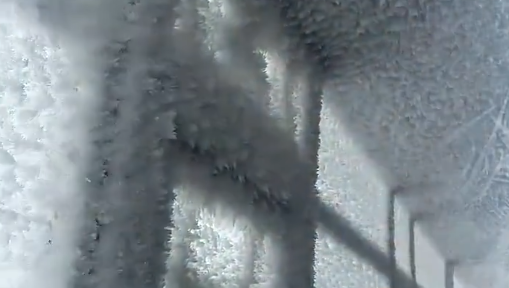 东北网友家的玻璃暖房结满冰霜！南方网友：为什么要住冰箱里