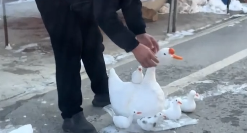 大爷巧手堆雪人堆的大鹅惟妙惟肖：路人没有破坏，都去拍照