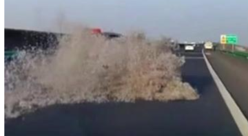 高速上前车轧爆袋子飘出大量羽绒 后车司机徒手薅半个小时