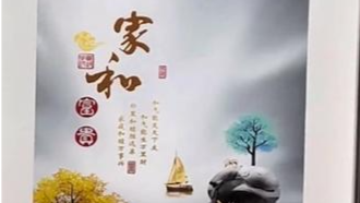 95后设计师推开父母装的新房，从梅兰菊竹开关开始两眼一黑