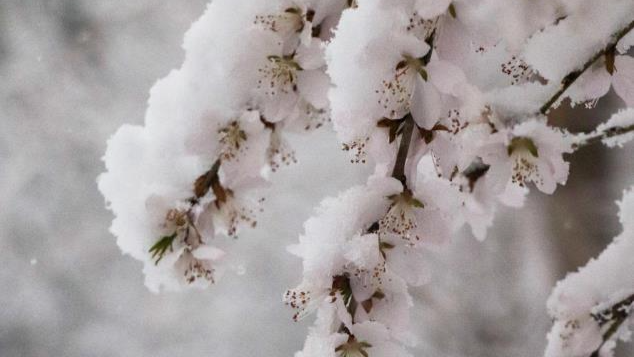 大范围雨雪降温天气将“上线”！河南、湖北等地降雪量较大