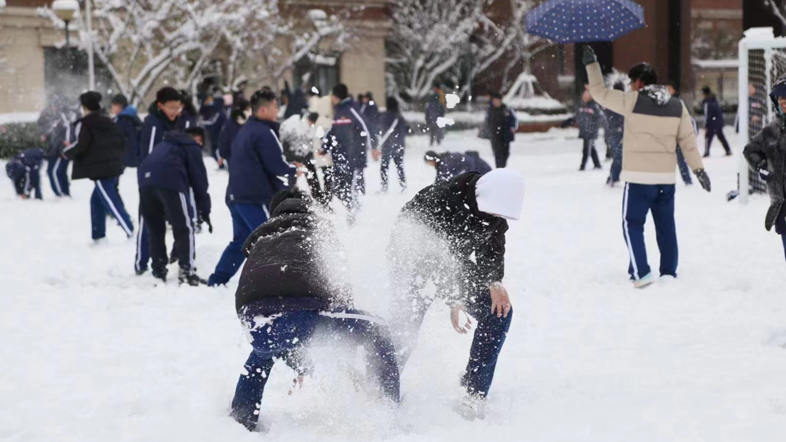暴雪、道路结冰双预警！河南今起迎本轮雨雪核心时段