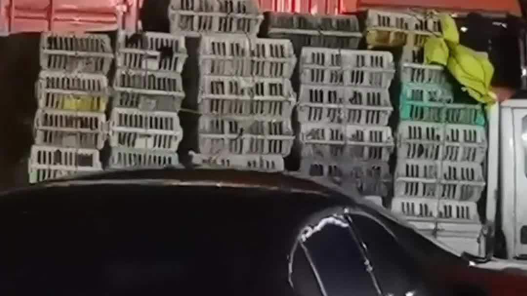 一货车鸡集体打鸣吵醒整个服务区