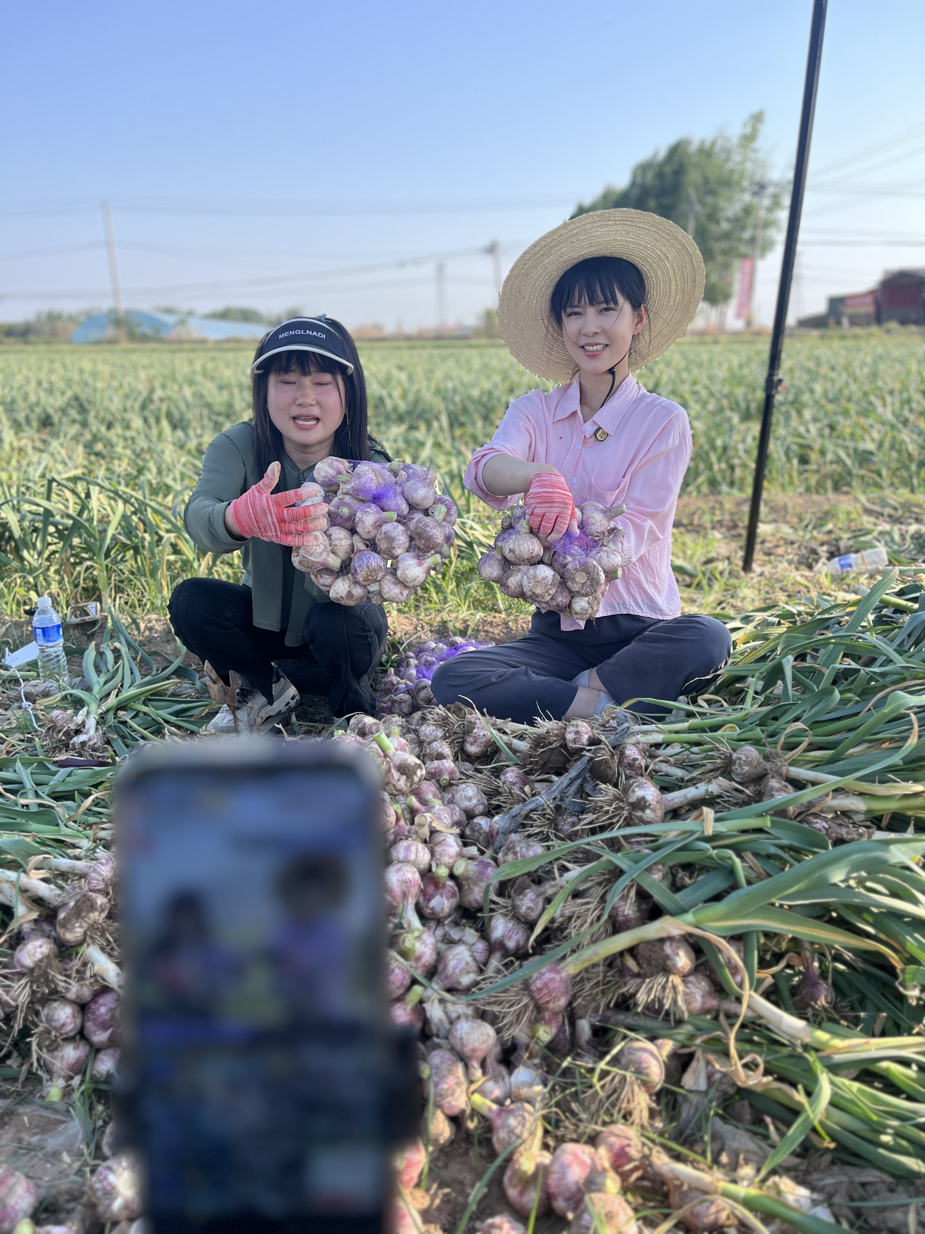 中牟新区：“1+6+N”电商矩阵 激活乡村振兴新动能