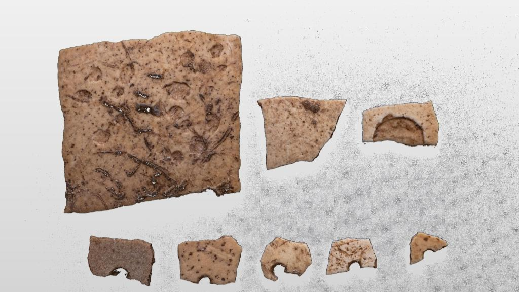 裴李岗遗址发现约2.6万年前鸵鸟蛋壳加工场