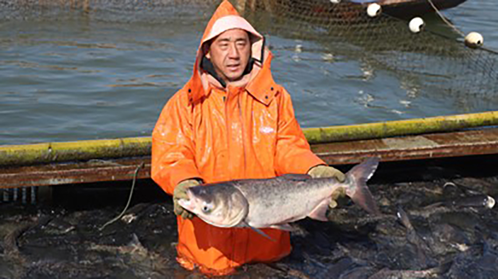 薄山湖冬捕开网！肥鱼满舱为天中新春添鲜味