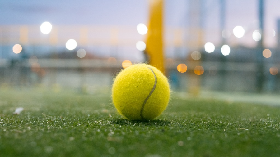 WTA1000多哈站签表公布 郑钦文将迎伤愈复出首秀