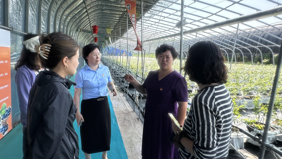 中国人寿涉农人身保险每年覆盖超2.7亿人次农村人口