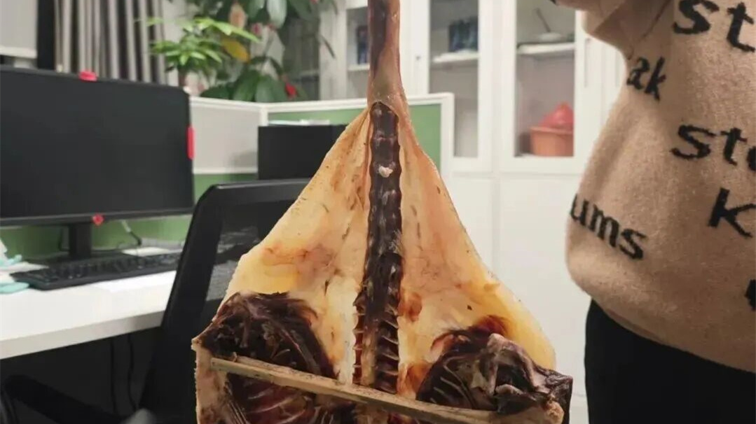 同学寄来的礼物像“翼龙” 网友在线求助：能吃吗