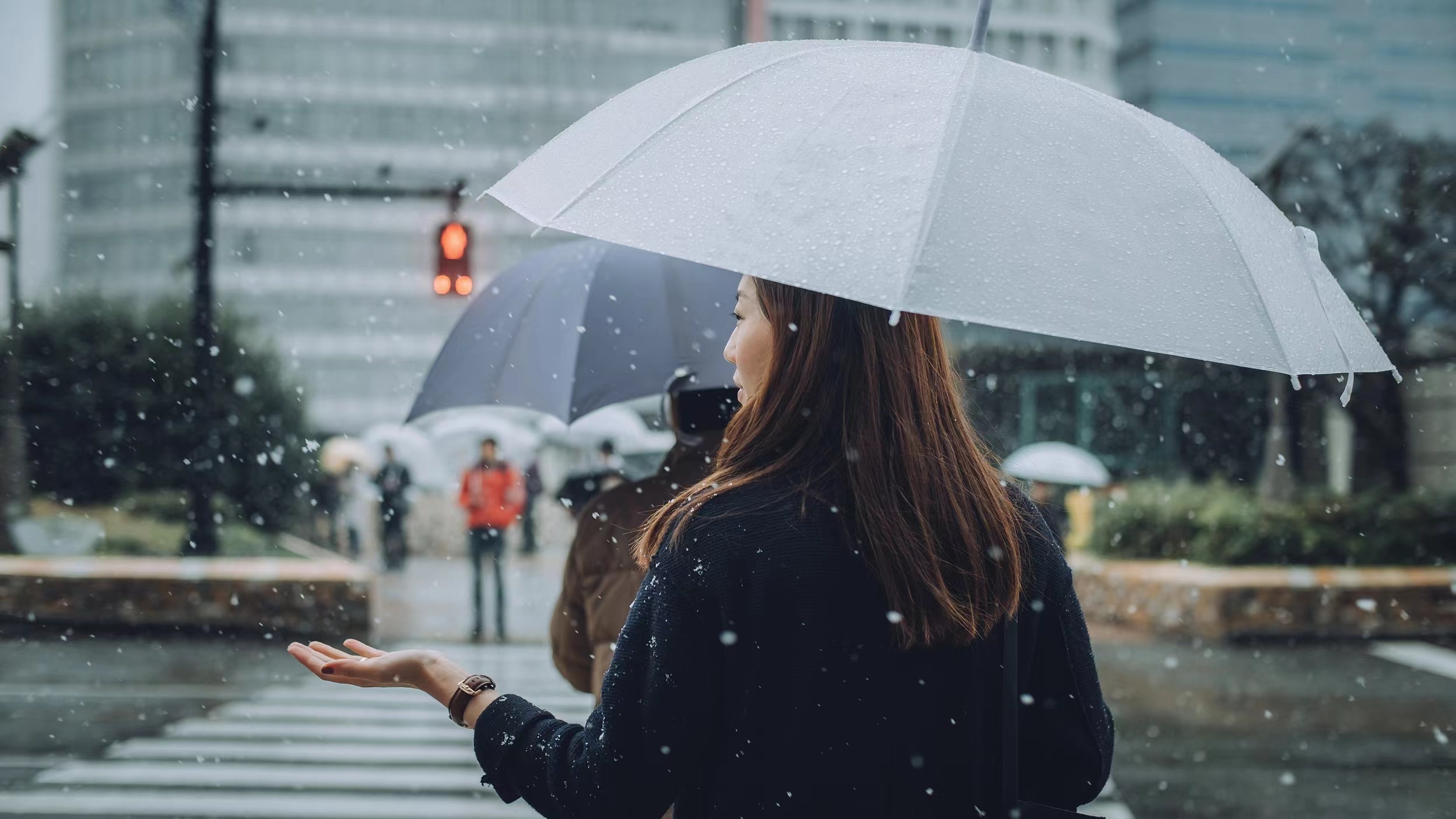 河南春节天气出炉，期间将有有两轮雨雪过程