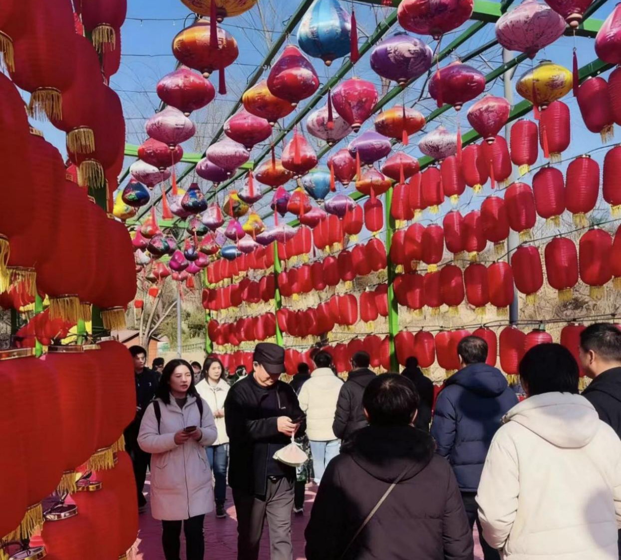 骏马欢腾闹新春 樱桃沟里年味浓