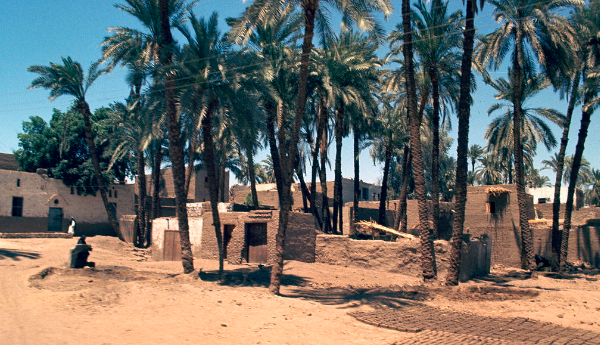 中埃联合考古队公布孟菲斯阿齐兹遗址新发现