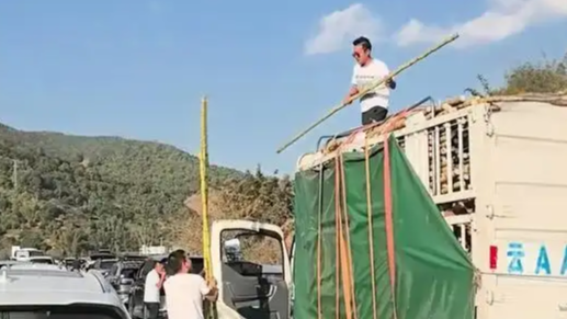 高速堵车老板原地卖甘蔗，网友：再堵老板要掉头回去进甘蔗了