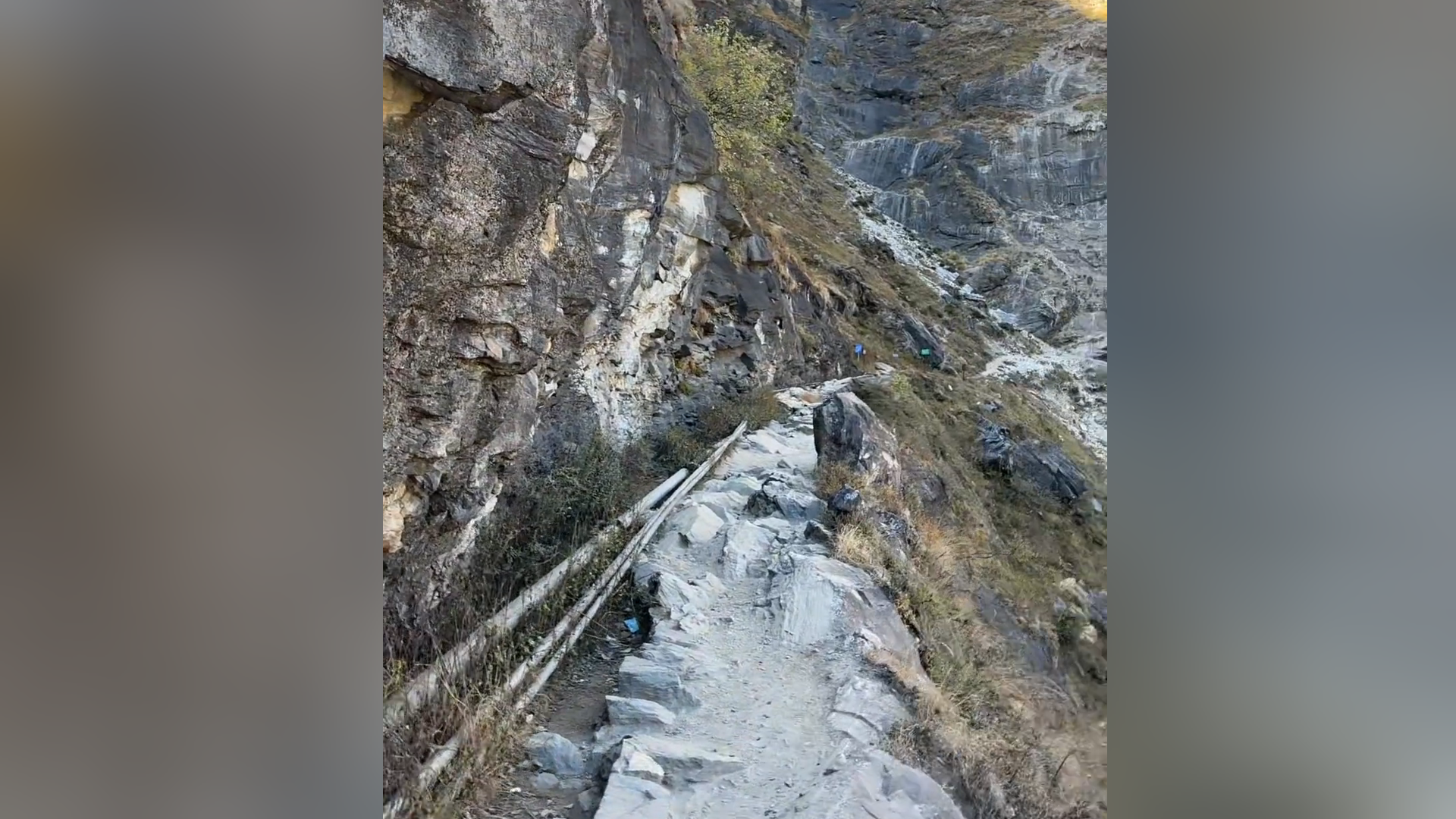 当地镇政府回应“云南虎跳峡8岁男童坠崖”事件