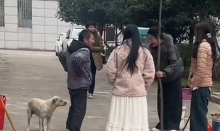 狗狗打架输了 带主人和姨姨们去报仇