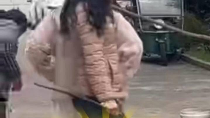 狗狗打架输了，带主人和“姨姨们”去报仇