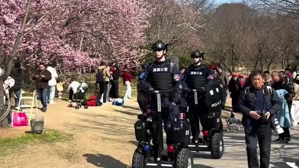 无锡一景区警察帅到人均“张凌赫”