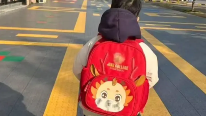 女子称与丈夫分居 孩子被强行带离
