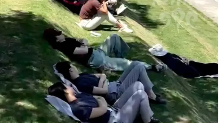 医生建议中午用晒太阳代替午休