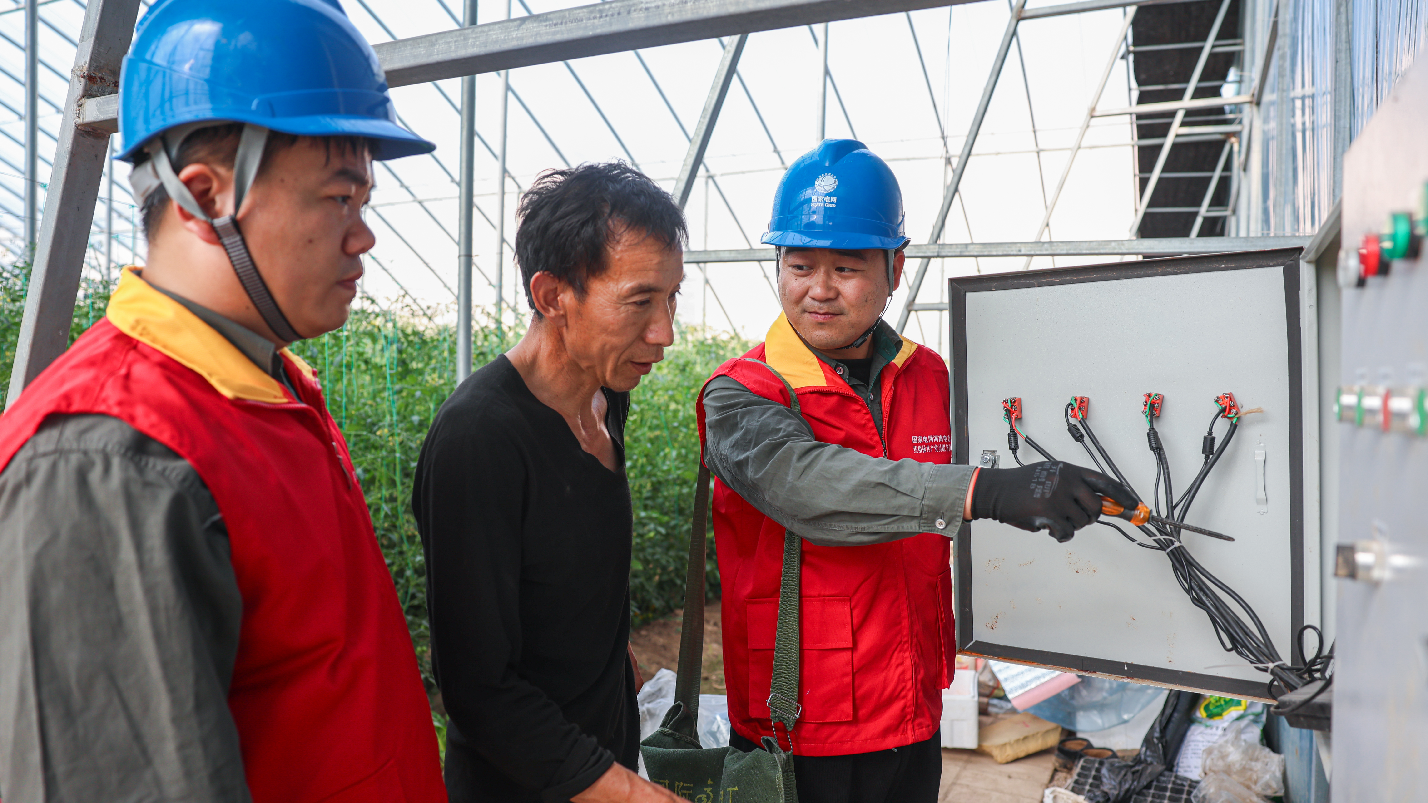 国网济源供电公司：织密供电服务网 全力保障春耕生产用电