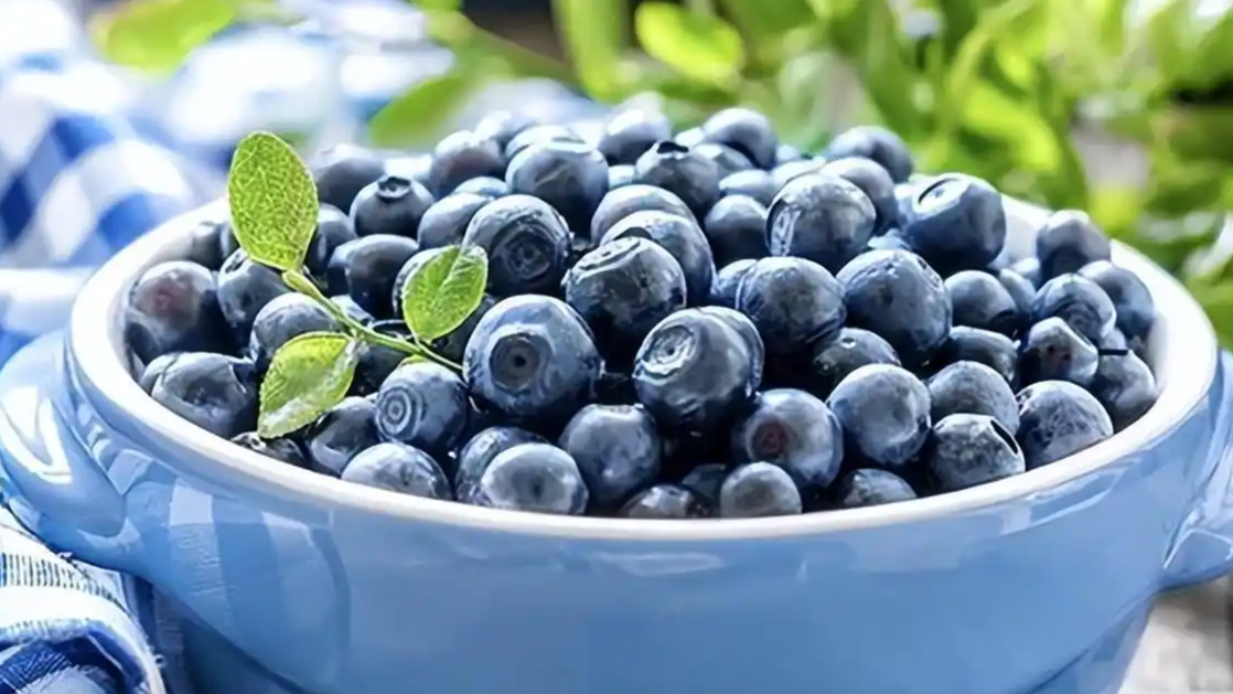 价格跳水！“蓝莓自由”要来了